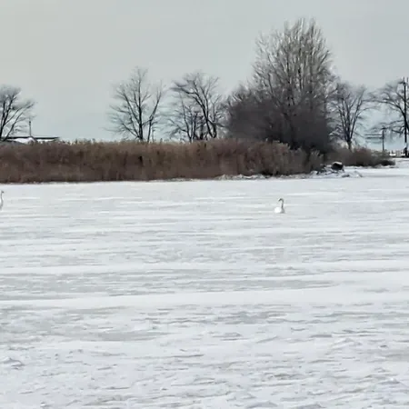 Kleine Oase Διαμέρισμα