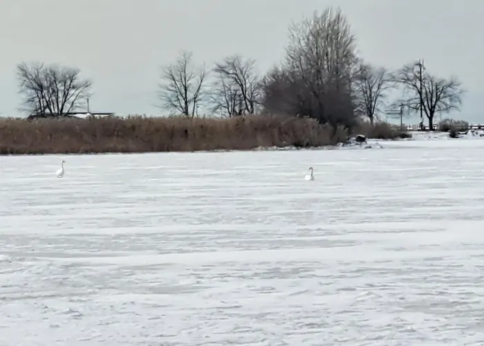 Kleine Oase Appartement